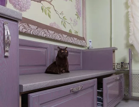 Фиолетовая кухня в Твери